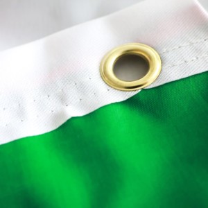 Venta caliente tamaño personalizado con ojales de latón 3*5 pies Irlanda Eire Erin Bandera Nacional país bandera - Product Image 4