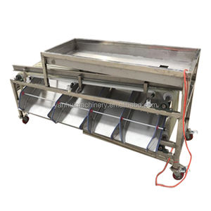 Nueva máquina clasificadora de piña y batata de frutas PLC y condición de componente de núcleo de motor nuevo - Product Image 2