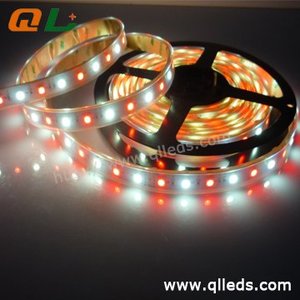 Il vecchio tipo RGB + W ha condotto la luce della striscia 60Led/m DC 12V/24V 14.4 W/m le perle della lampada separata 30LED RGB + 30LED bianco di fabbrica vende direttamente - Product Image 5