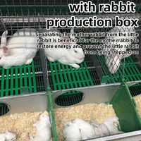Cage à lapins de reproduction à 16 positions, cage pour lapines avec nichoir intégré, galvanisée à chaud