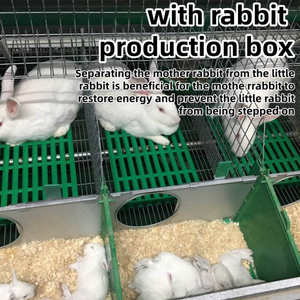 Gabbia per Conigli da Allevamento a 16 Postazioni con Nido Attaccato Zincata a Caldo - Product Image 4