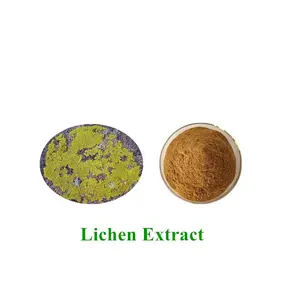 Extrait de lichen naturel poudre d'extrait de mousse extrait de Xanthoparmelia Scabrosa