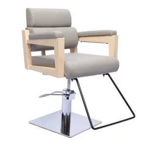 New style stainless steel wood painting armrest hair salon chair styling chair with heavy duty hydraulic pump