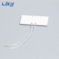 LJXH 1PC Plaque chauffante en céramique d'alumine pour fers électriques et chauffe-eau 20*20*2mm