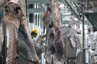 Équipement d'abattage de plate-forme de levage pneumatique de vente chaude d'ascenseur d'automne de montée d'abattoir de bétail