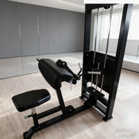 Mesin Fitness Gym Kekuatan Berkualitas Tinggi dengan Beban Pin untuk Latihan Biceps Triceps Curl SELECTORIZED