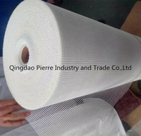 Chine industrielle de maille de fiber de verre machine à tisser rapier métier à tisser prix