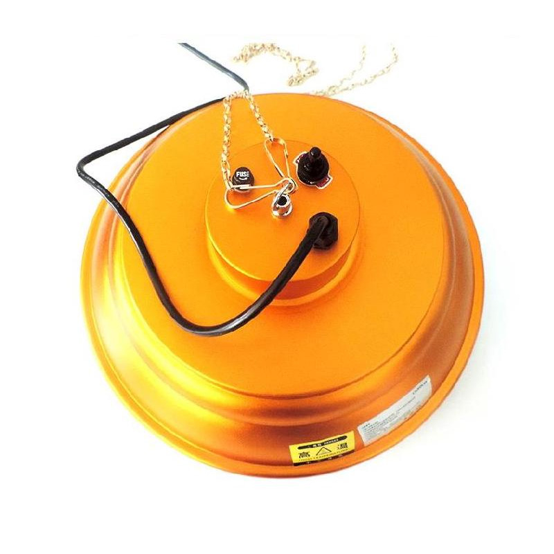 poultry farming eating lamp