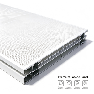 Panneau de façade en aluminium perforé à montage rapide, revêtement extérieur décoratif pour bâtiment commercial - Product Image 3