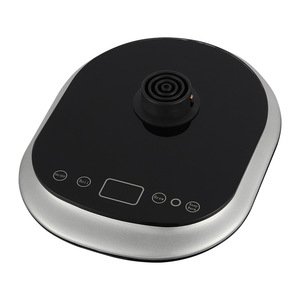 Hervidor de cuello de cisne de acero inoxidable con control de temperatura eléctrico para café de goteo con tapa y base giratoria de 360 grados - Product Image 3