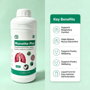 Mucolite Plus Veterinario Espectorante 1L per Polli, Allevia il Muco Respiratorio e Supporta la Respirazione GMP - Product Image 6