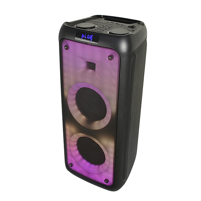 Temeisheng TMS-505 Double 5.25 Inch Sound Box DJ Karaoke Bluetooth Party Audio Speaker with Tws