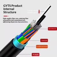 Kabel Optik GYTS Direct-buried 8 Serat Single-mode Outdoor Berlapis Baja untuk Saluran Model China GYTS-8B1