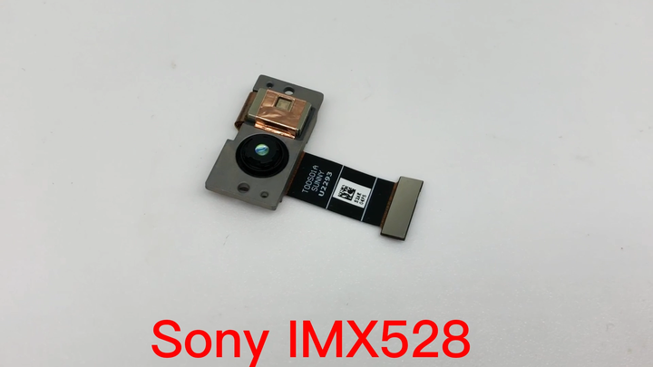 アンソニー型カメラ さがみ野のアンソニー - 新・平成写真師心得帳