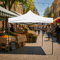 Tente publicitaire personnalisée imprimée 3x6m en PVC imperméable, chapiteau événementiel pliable pour la promotion