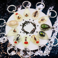 Pendentif Scorpion en Résine Véritable, Breloque Insecte, Spécimen d'Ambre, Porte-clés Souvenir pour Hommes avec Motif Animal