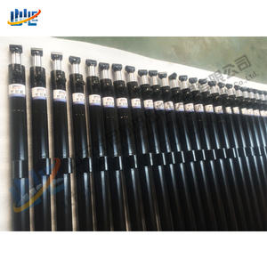 Maßgefertigter 2 Meter Langer Hydraulikzylinder für Anhänger-Langarmplanensystem - Product Image 3