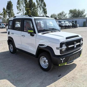 Vehículo Eléctrico Compacto de Baja Velocidad con Volante a la Derecha, 2000W, para Viajes Urbanos, Nueva Energía, Venta al Por Mayor - Product Image 6