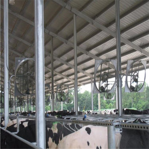 Trang Trại Bò Và Chuồng Gia Súc Kết Cấu Thép - Product Image 3