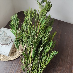 ลูกปัด<span class=keywords><strong>พระ</strong></span>พุทธรูปโรงงานนิรันดร์ช่อดอกไม้แห้งที่เก็บรักษาไว้อุปกรณ์ตกแต่งแบบนิ่มจัดสวนเทศกาลแต่งงานจัดสวน - Product Image 3