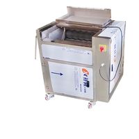 Commerciële Automatische Roestvrijstalen Borstelwasmachine Voor Aardappel, Zoete Aardappel, Taro-Reiniging