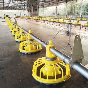 ZZ Hiện Đại Giá Rẻ Gà Thịt Hen Gia Cầm Nhà Sàn Lồng Gà Nước Và Trung Chuyển Hệ Thống Đường Dây - Product Image 2