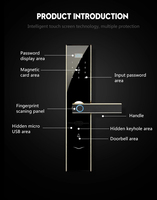 KaiYing Locker avec carte Serrure de porte intelligente Tuya Ttlock Cerraduras Wifi Clés d'empreintes digitales Fer Poignée électronique Chiffre Électronique