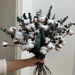 Feuilles d'<span class=keywords><strong>eucalyptus</strong></span> naturelles préservées, feuilles séchées, toucher réel, pour la décoration de bouquets de mariage et de fête DIY - Product Image 5