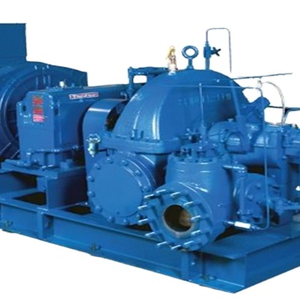 ไอน้ําแรงดันกลับ 250 กิโลวัตต์, กังหัน - Product Image 1