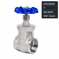 Válvula de Compuerta de 1 Pulgada CF8 SS304 200 WOG con Rosca NPT, Válvula de Compuerta de Acero Inoxidable con Volante Azul para Agua, Aceite y Gas