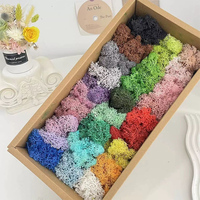 2024 Home Decor Vente Chaude Produits Fabricants Bureau Décor Vert Réel Naturel Préservé Mur Mousse Stabilisé