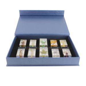 種子、葉、茎、根、透明樹脂ブロック、植物埋め込み樹脂標本 - Product Image 2