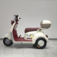 Scooter électrique de mobilité à 3 roues pour adultes Trike électrique de passager pour personnes âgées Prix bon marché Trike Batterie au plomb