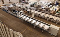 Defectdetectie Uiterlijk AI Fruit Diameter Maat Kleur Sortering CCD Beschadigde Mandarijn Citrus Visie Fruit Sorteermachine