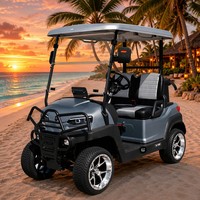 Voiture de golf électrique 2 places en gros d'usine, moteur AC 3,5 kW, pneus tout-terrain en alliage de 14 pouces