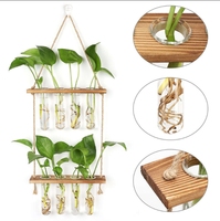 HYINDOOR Classique Écologique Hydroponique Station De Propagation Des Plantes 8 Tubes Tube À Essai Vase Verre Planteur Sapin Bois Pots De Fleurs
