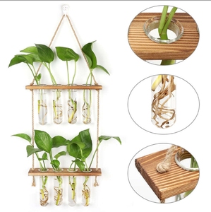 HYINDOOR Classique Écologique Hydroponique Station <span class=keywords><strong>De</strong></span> Propagation Des Plantes 8 Tubes Tube À Essai Vase Verre Planteur <span class=keywords><strong>Sapin</strong></span> Bois Pots <span class=keywords><strong>De</strong></span> Fleurs - Product Image 4