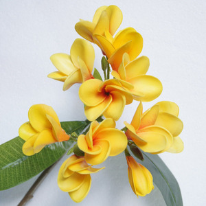 <span class=keywords><strong>PU</strong></span> gerçek dokunmatik yapay <span class=keywords><strong>Plumeria</strong></span> çiçek noel mezuniyet cadılar bayramı yeni yıl paskalya anneler günü çin yeni yıl bez - Product Image 6