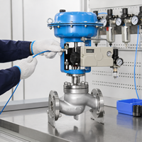 Katup Pengatur Globe Pneumatik Dua Arah dengan Aktuator Diafragma dan Positioner Elektro Pneumatik untuk Proyek OEM