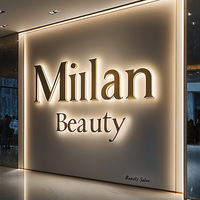 Enseigne lumineuse LED 3D personnalisée Kelly Manufacturer pour affichage publicitaire en intérieur, devanture de magasin, logo d'entreprise