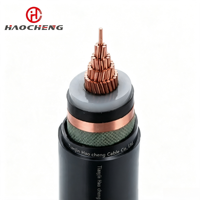 YJV62 8.7/10kV 1C Cu XLPE NonMag STA PVC CE/VDE/UL AntiEddy Umspannwerk Unterirdisch Verlegbar