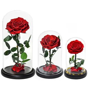 BLH Hot Sale 10 CM Geschenk Rose in Glaskuppel Everlasting True Flowers