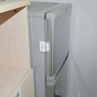 Capteur d'alarme intelligent sans fil magnétique Thingsend IoT, alimenté par batterie, à fixer au mur, pour porte/fenêtre/garage, technologie LoRa sans fil