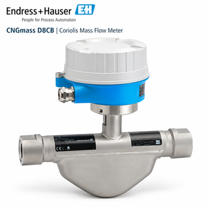 Débitmètre massique Coriolis haute performance Endress+Hauser CNGmass D8CB pour distributeurs et stations de ravitaillement de véhicules - Product Image 1