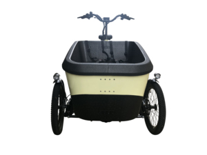 Tricycle électrique 2 places 250 watts <span class=keywords><strong>Bosch</strong></span> Epp Foam ANANDA M81, vélo cargo, vélo électrique pour enfants, cadre de velomobile, assistance au pédalage avec boîte de livraison - Product Image 4
