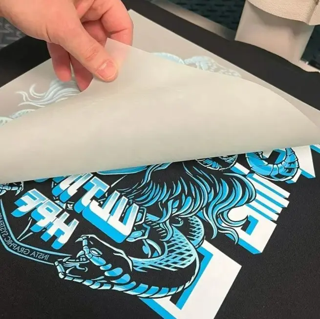 Etiquetas de vinil para transferência de calor, logotipo personalizado de alta qualidade, desenhos de transferência de calor Plastisol DTF, prontos para prensar, para camisetas