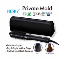 Produsen Mesky sampel pendukung 2 in 1 tidak ada sikat pengering rambut keriting basah panas hingga kering