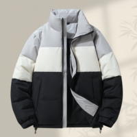 Doudoune Homme Légère et Chaude en Duvet de Canard 90% pour l'Hiver, Idéale pour le Ski et les Loisirs, Col Montant, Style Urbain Tendance