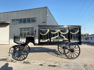 Coche fúnebre eléctrico clásico negro económico de alta calidad, <span class=keywords><strong>remolque</strong></span> de un solo <span class=keywords><strong>eje</strong></span>, coche fúnebre eléctrico tirado por caballos, transporte especial, gran oferta - Product Image 5