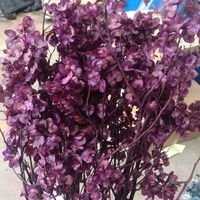 Bouquet de fleurs préservées de haute qualité 2020, fleurs papillon pour décorations de Noël